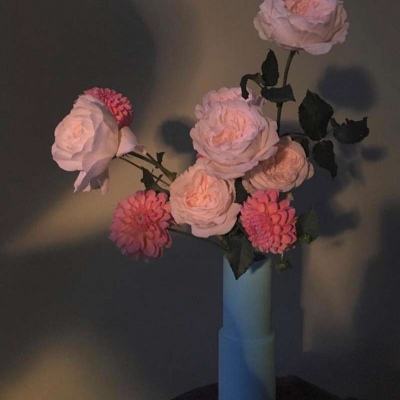 半导综合体育下载